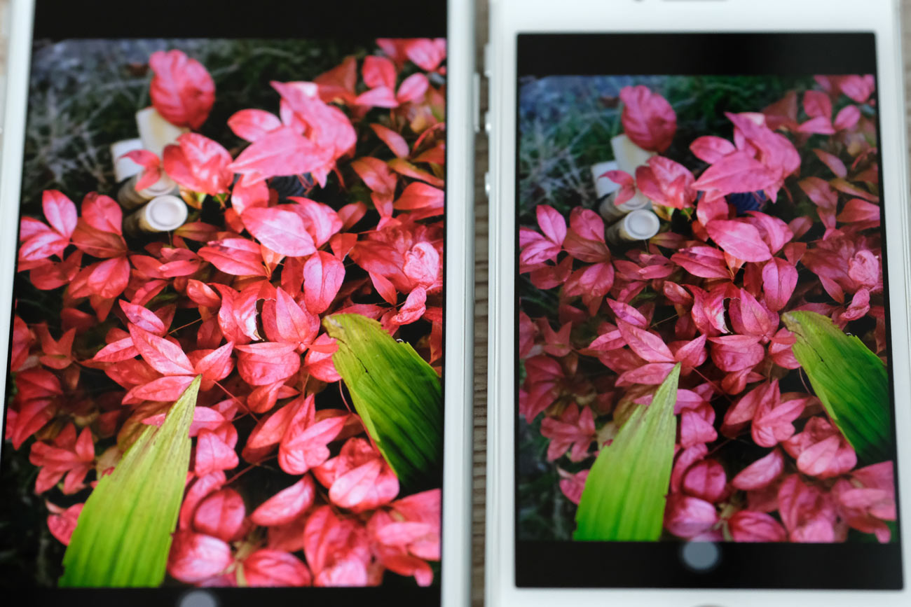 iPhone 8/7とiPhone SE 画面色の鮮やかさの違い