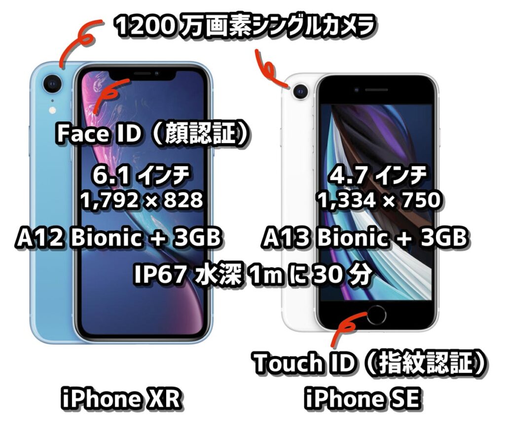 iPhone XRとiPhone SE・8の違いを比較