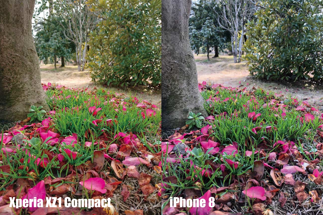Xperia XZ1 CompactとiPhone 8 カメラ画質比較