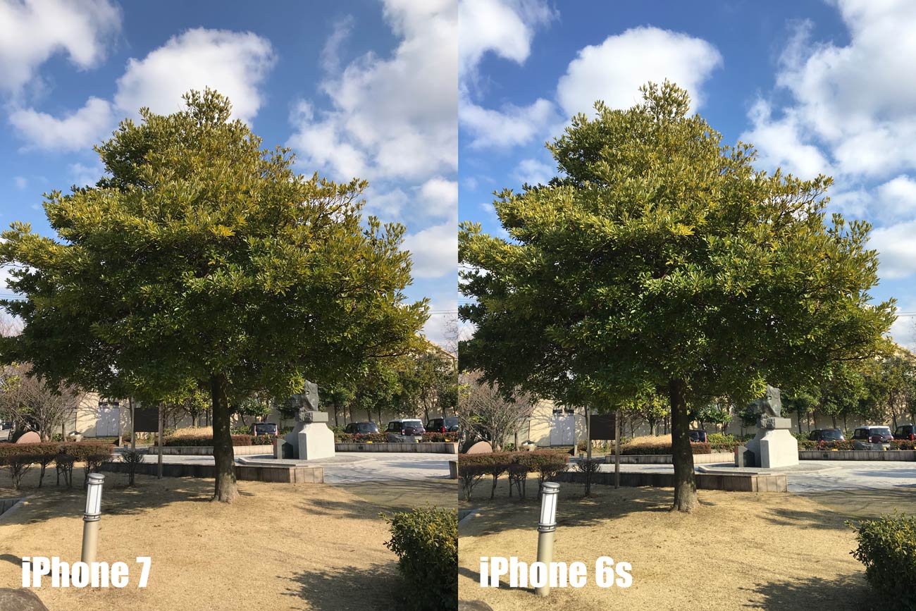 iPhone 7とiPhone 6s カメラの画質を比較（木と青空）