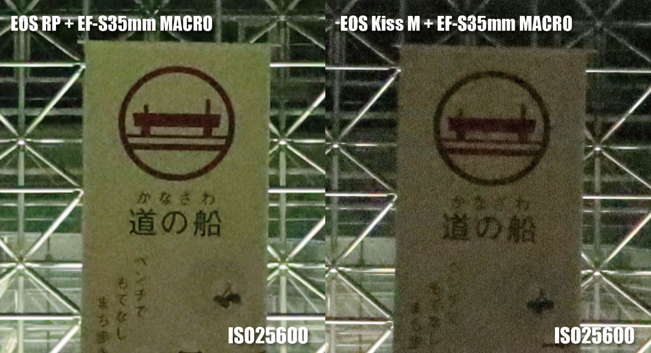 フルサイズとAPS-C ノイズの違い（ISO25600）