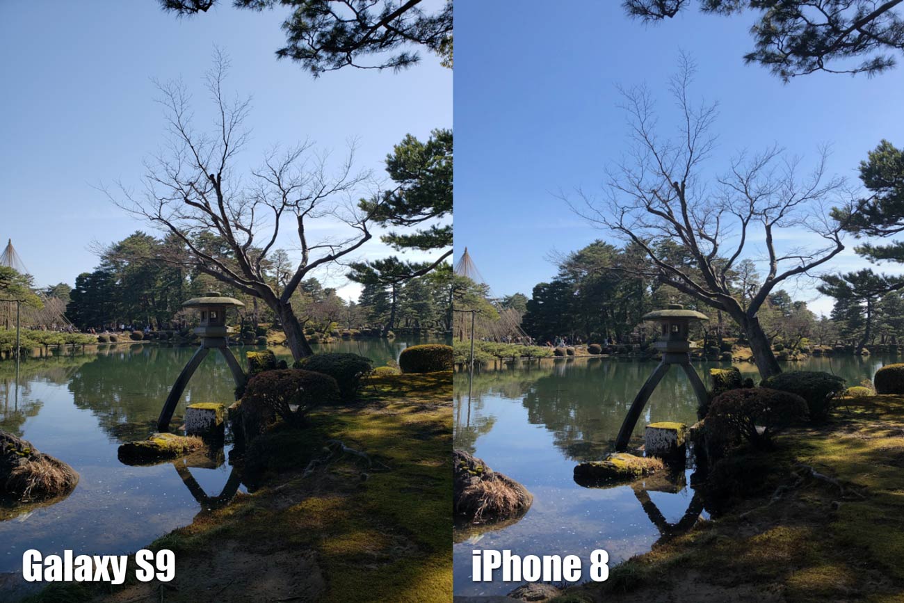 Galaxy S9とiPhone 8 リアカメラの画質比較（兼六園）