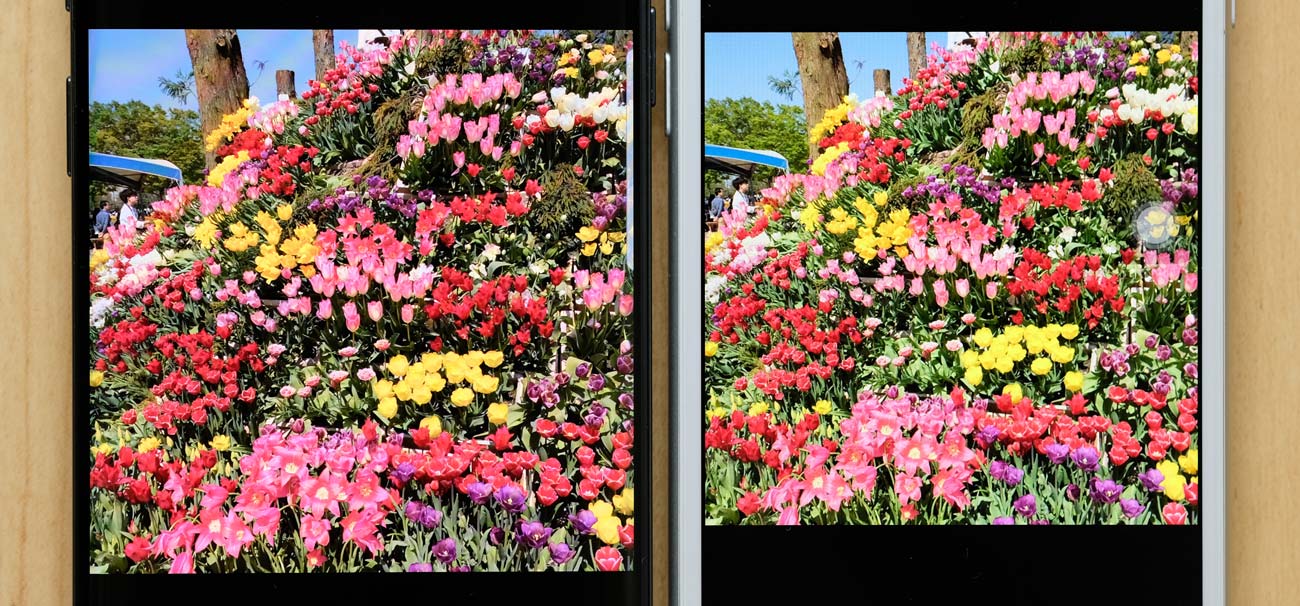Galaxy S9とiPhone 8 ディスプレイの画質