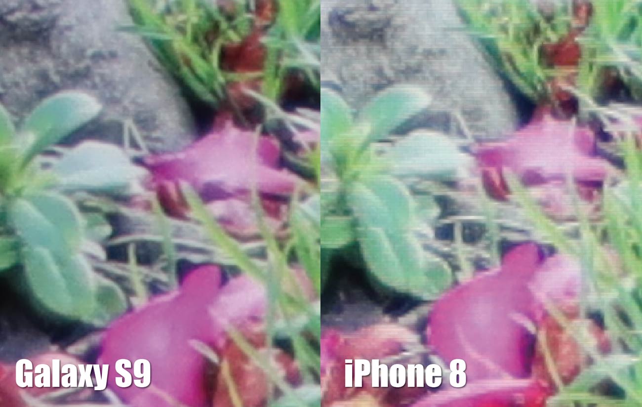 Galaxy S9とiPhone 8 解像度の違い