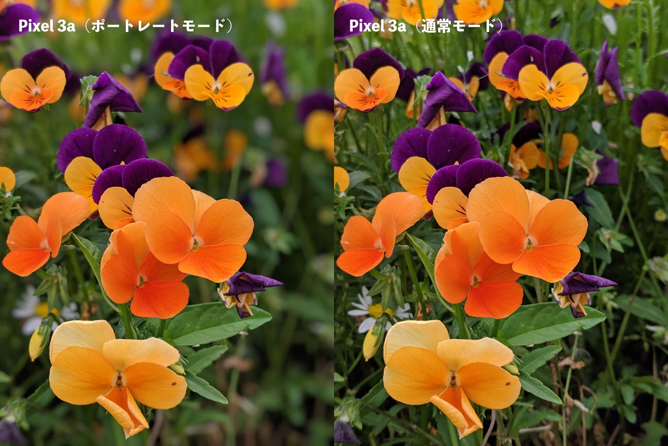 Pixel 3aのポートレートモード（花）