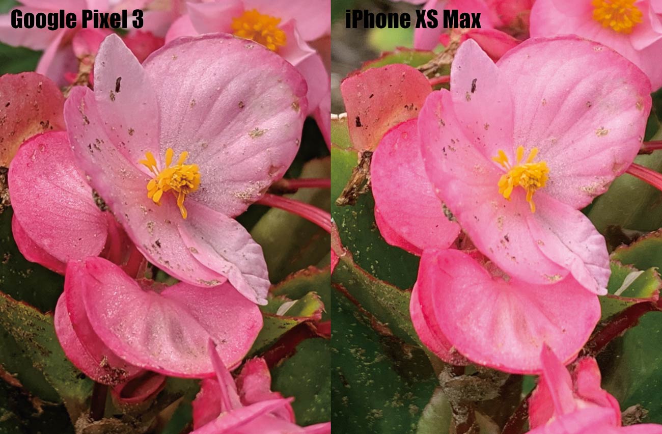 Pixel 3とiPhone XS Maxのカメラの画質の違い