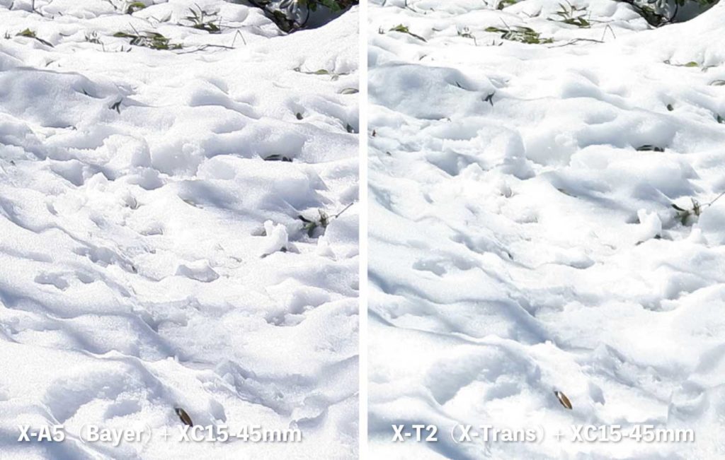 X-Trans・ベイヤー 雪の質感の違いを比較