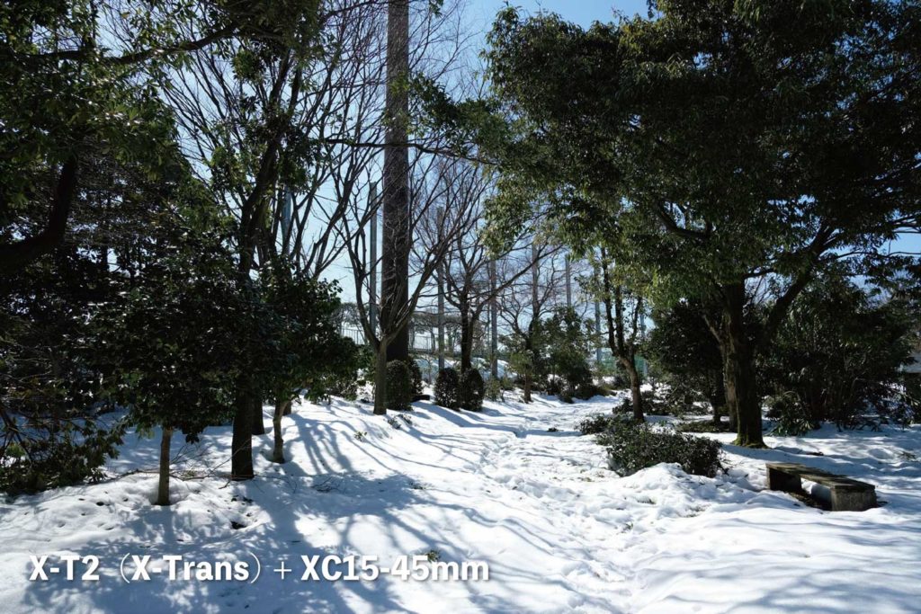 X-T2（X-Trans）+ XC15-45mm 公園の雪