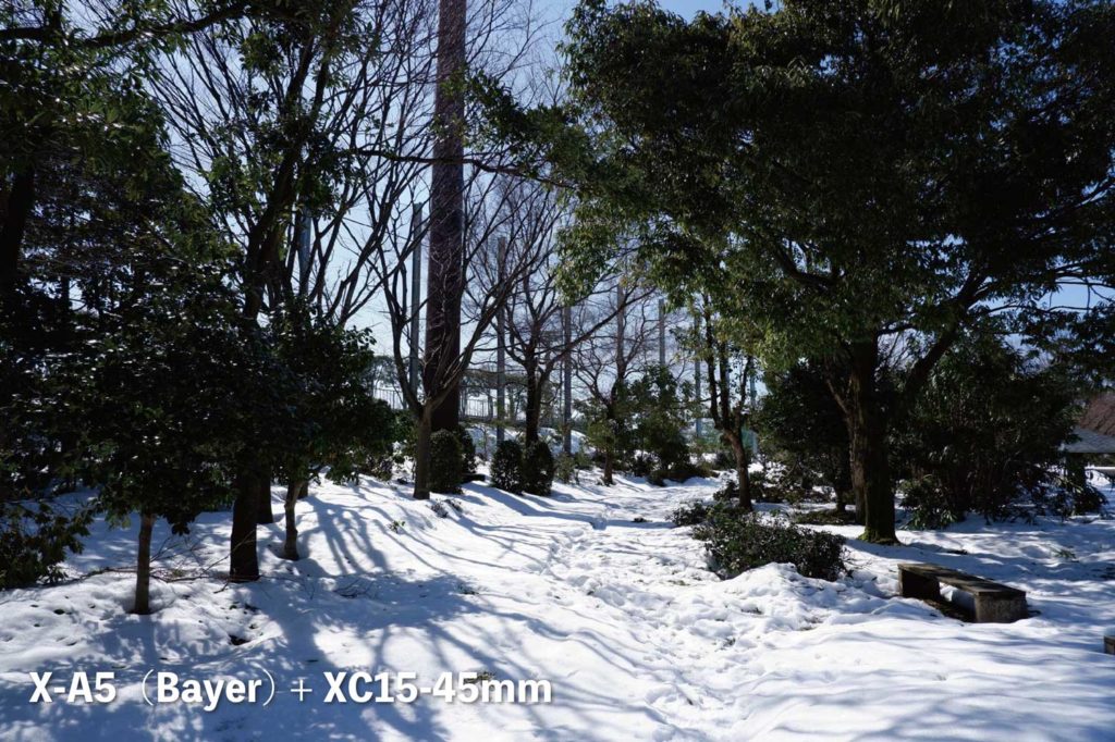 X-A5（ベイヤー）+ XC15-45mm 公園の雪