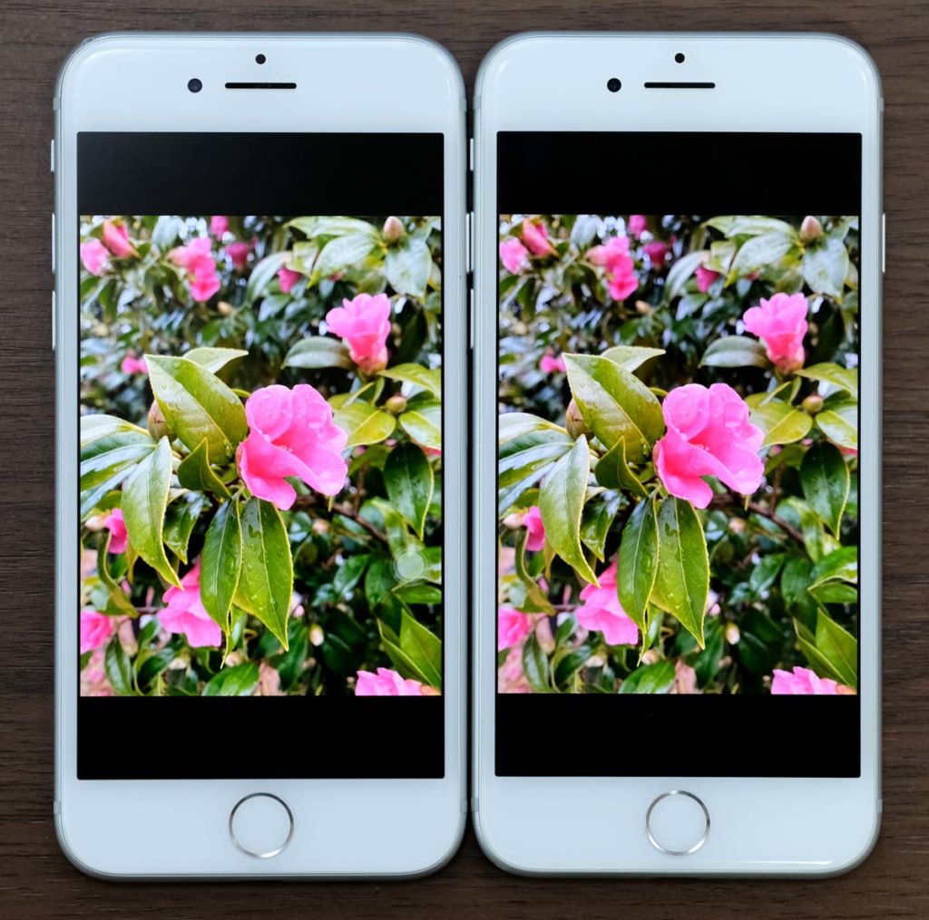 iPhone 7とiPhone 6s ディスプレイの色合いを比較