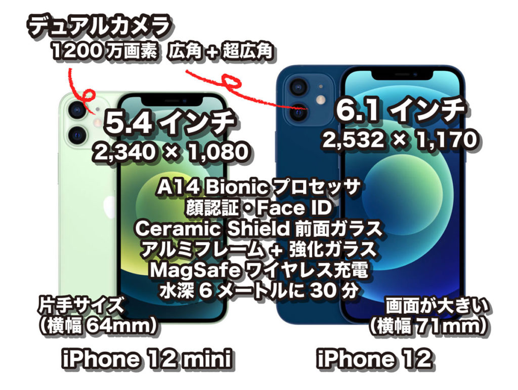 iPhone 12 mini・iPhone 12の比較