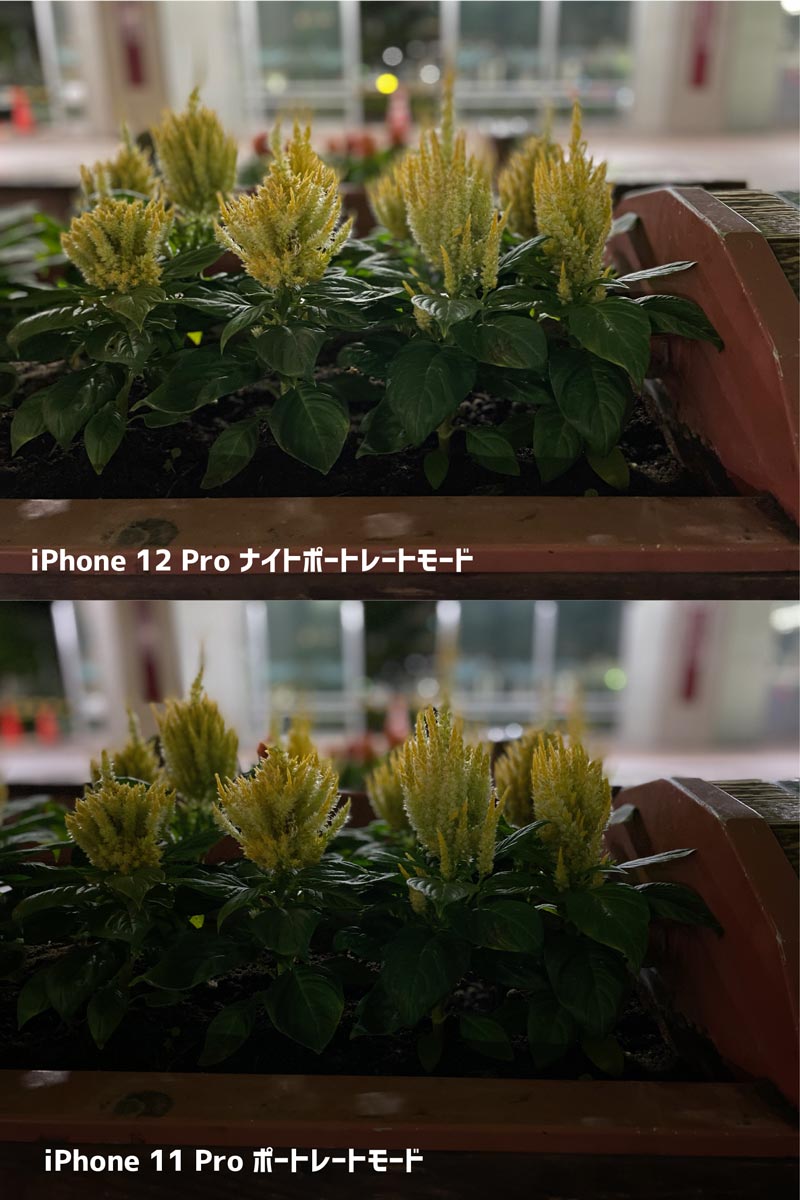 iPhone 12 Pro ナイトモードポートレートモード