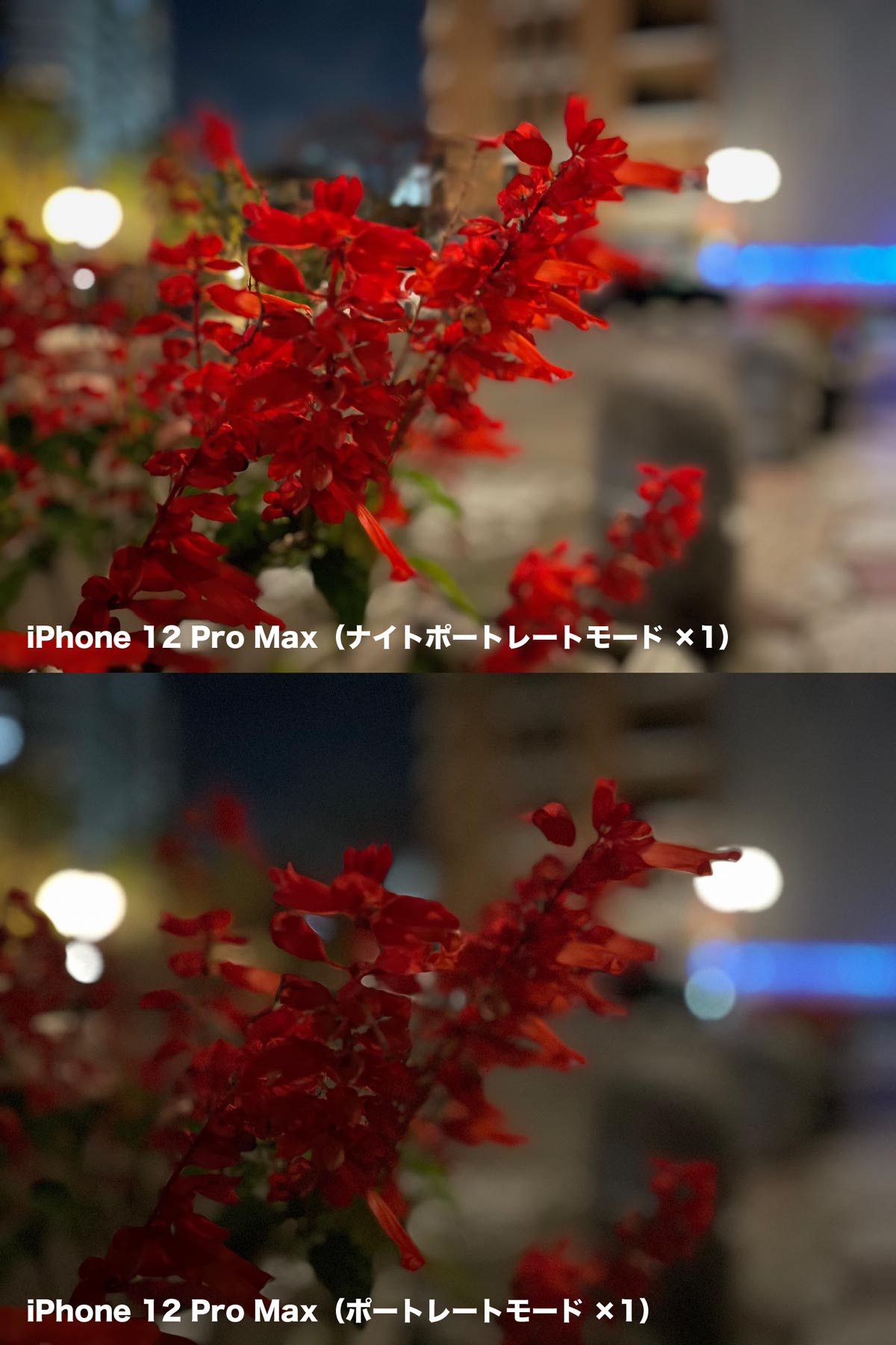 iPhone 12 Pro Max ナイトポートレートモード