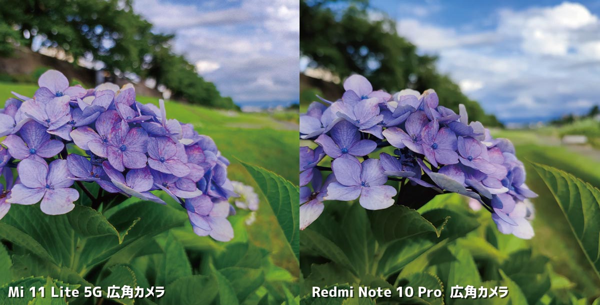 Mi 11 Lite 5GとRedmi Note 10 Pro 広角カメラ比較