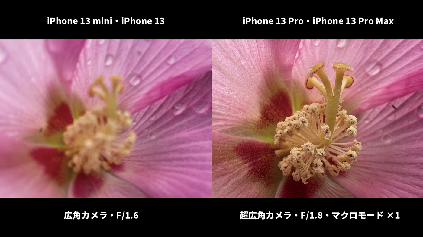 iPhone 13 Pro マクロ撮影に対応