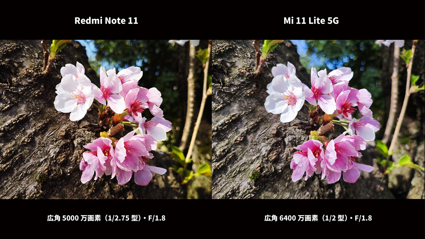 Redmi Note 11・Mi 11 Lite 5G 桜を比較