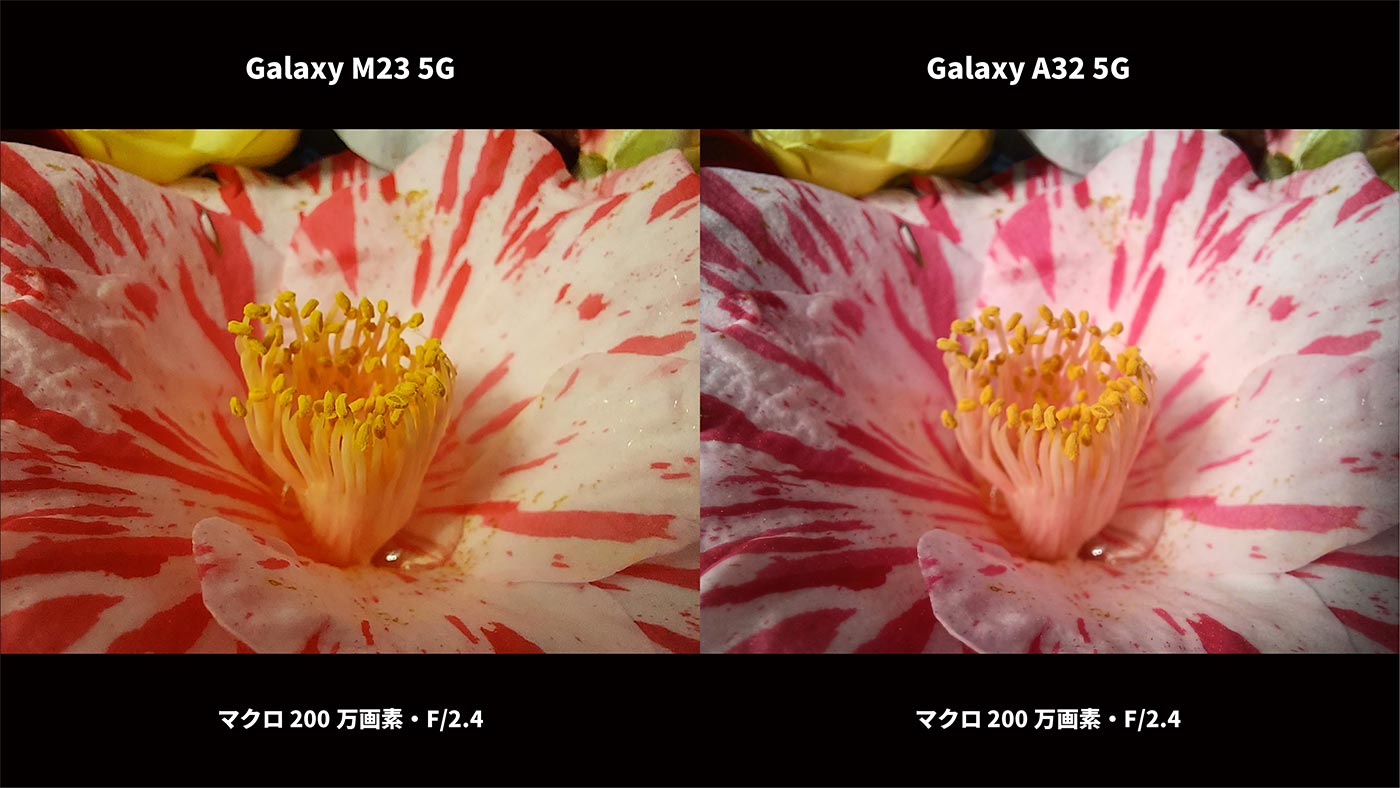 Galaxy M23・A32 マクロカメラ比較