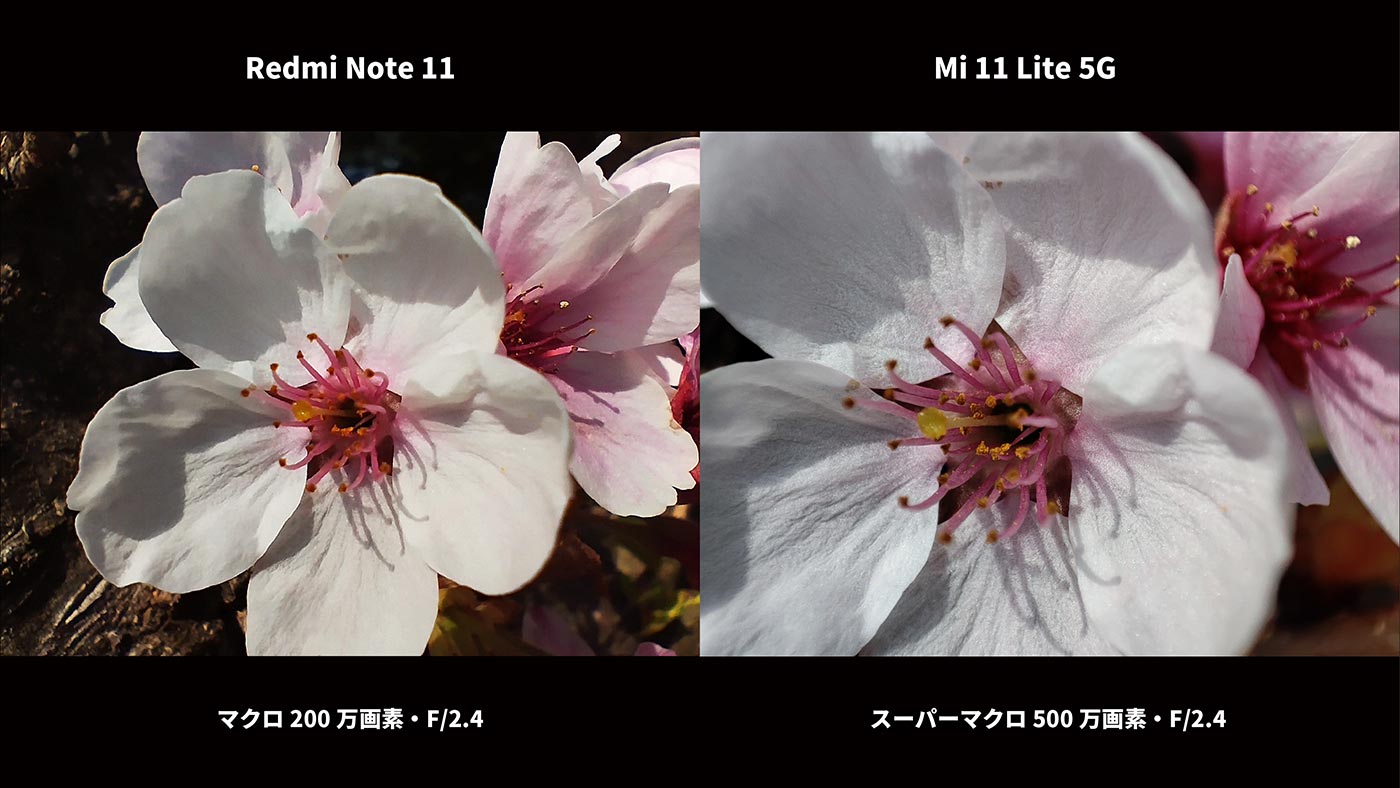Redmi Note 11・Mi 11 Lite 5G マクロカメラ比較