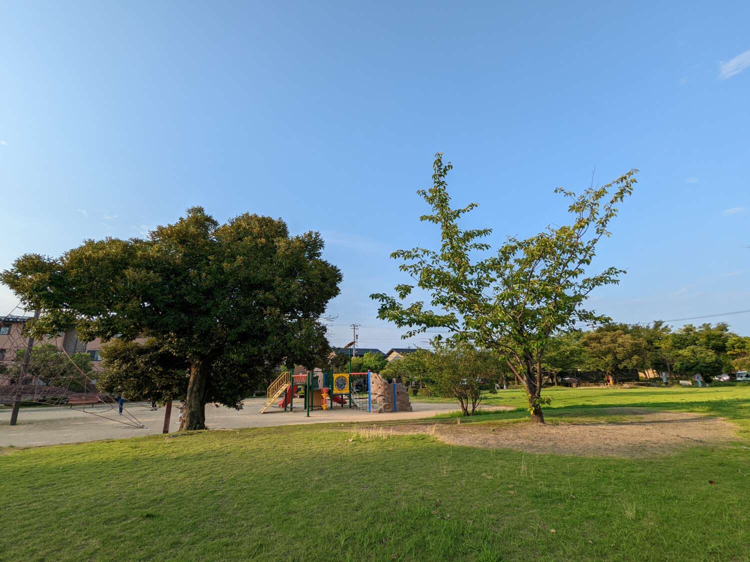 Pixel 6aの超広角カメラで公園を撮影