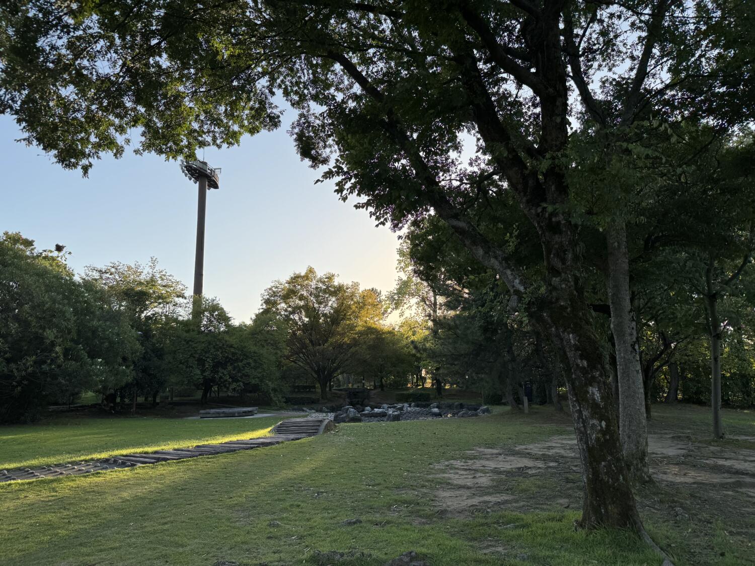 iPhone 15 Pro 夕暮れの公園を撮影