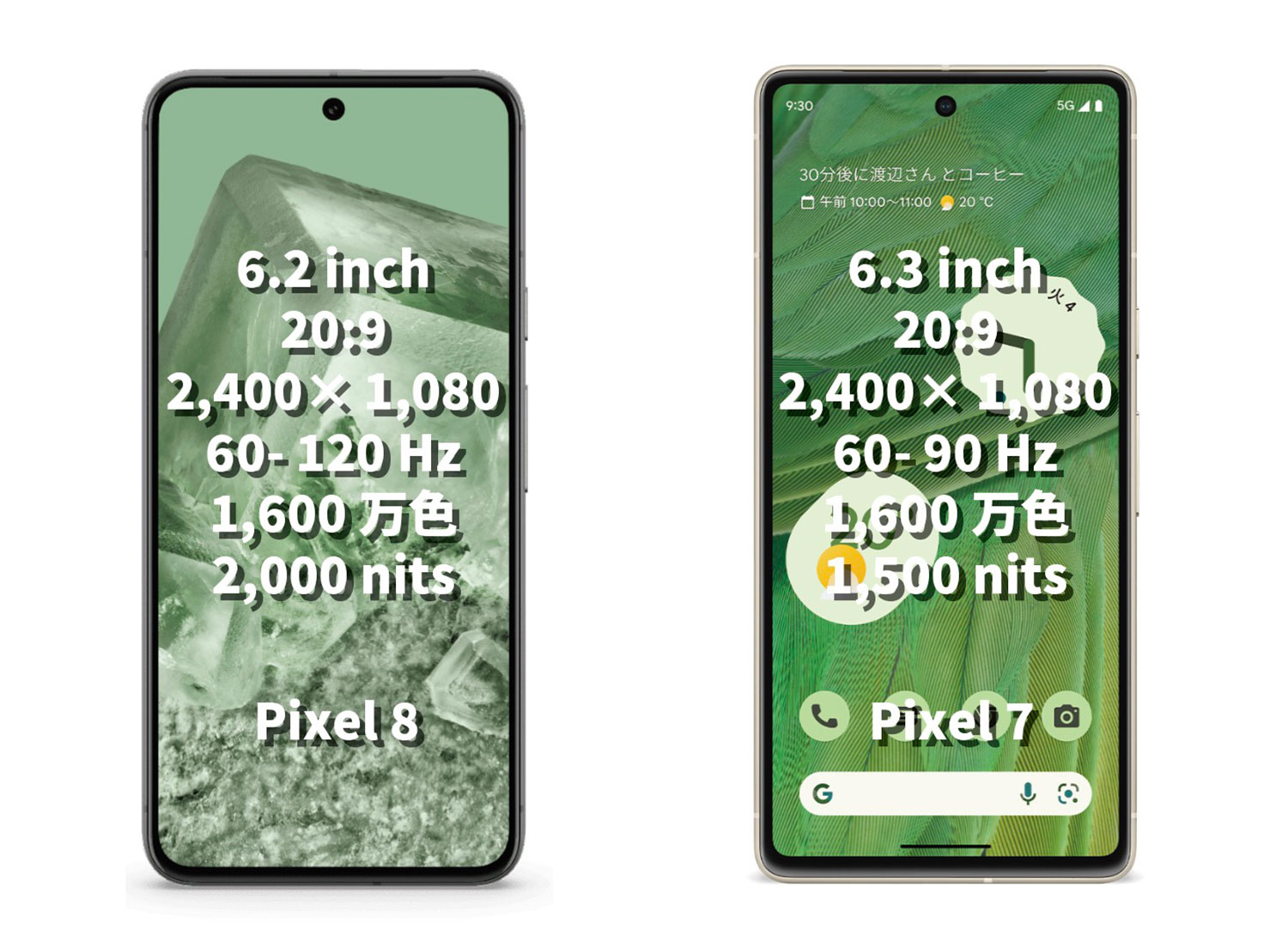 Pixel 8、Pixel 7 ディスプレイの比較