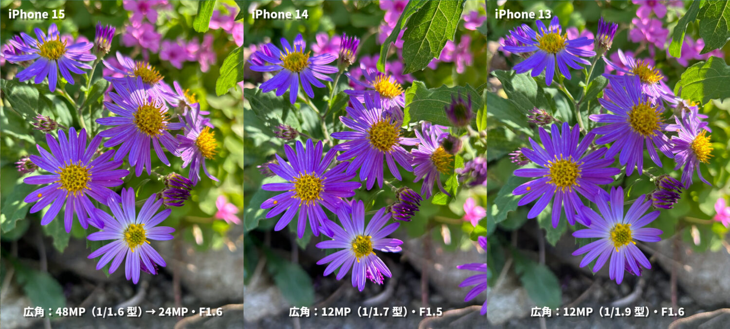 iPhone 15 / 14 / 13 広角カメラの画質比較（紫の花を接写）