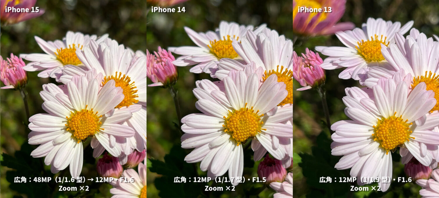 iPhone 15 / 14 / 13 広角カメラの画質比較（白の花を接写）